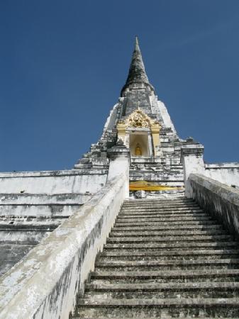 トリップアドバイザー提供