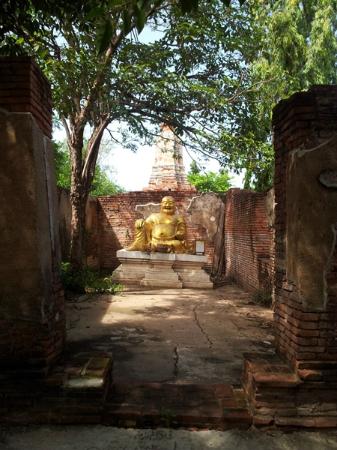 トリップアドバイザー提供