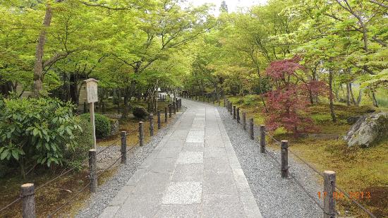 トリップアドバイザー提供