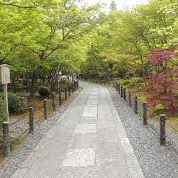 トリップアドバイザー提供