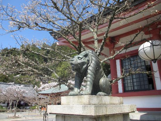 トリップアドバイザー提供