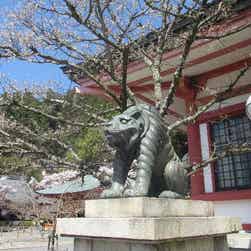 トリップアドバイザー提供