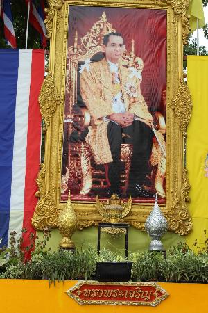 トリップアドバイザー提供