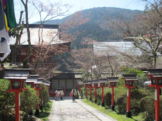 トリップアドバイザー提供