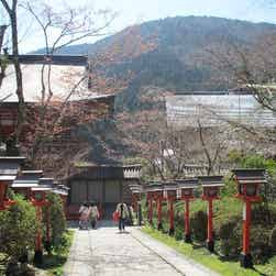 トリップアドバイザー提供