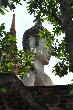 トリップアドバイザー提供