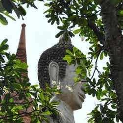 トリップアドバイザー提供