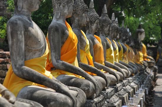 トリップアドバイザー提供