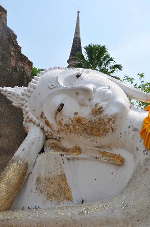 トリップアドバイザー提供