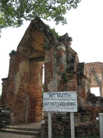 トリップアドバイザー提供