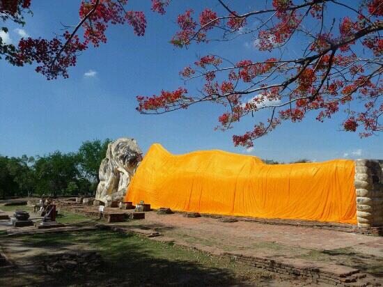 トリップアドバイザー提供