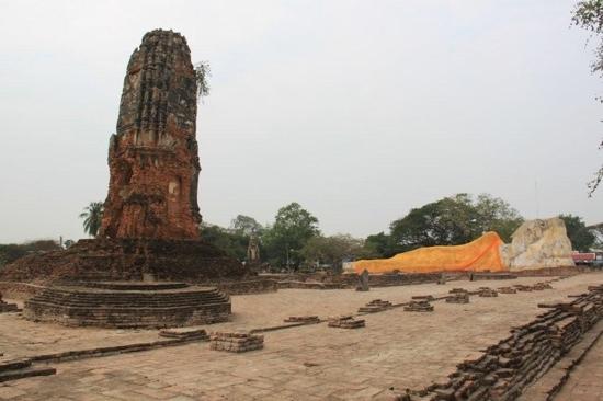 トリップアドバイザー提供