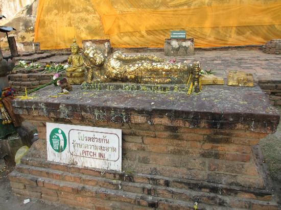 トリップアドバイザー提供