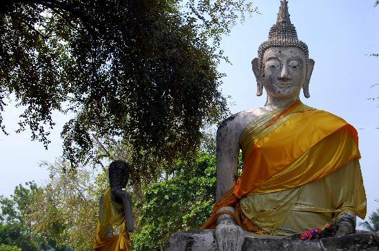 トリップアドバイザー提供