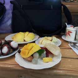 トリップアドバイザー提供