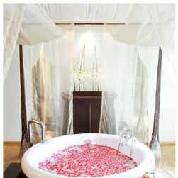 トリップアドバイザー提供