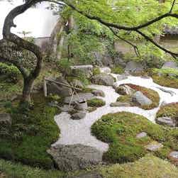 トリップアドバイザー提供