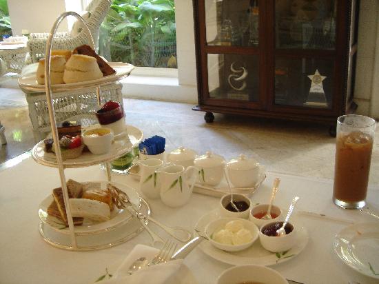 トリップアドバイザー提供