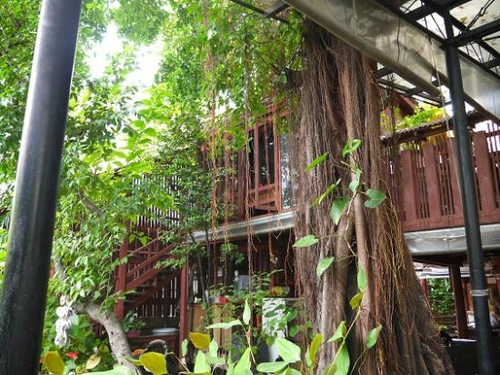 トリップアドバイザー提供