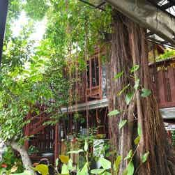 トリップアドバイザー提供