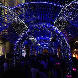 トリップアドバイザー提供