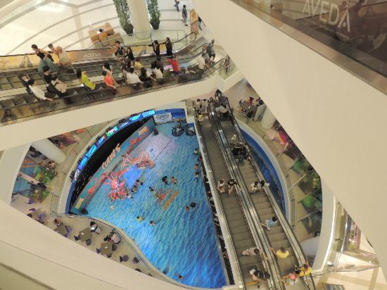 トリップアドバイザー提供