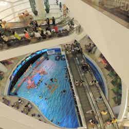 トリップアドバイザー提供