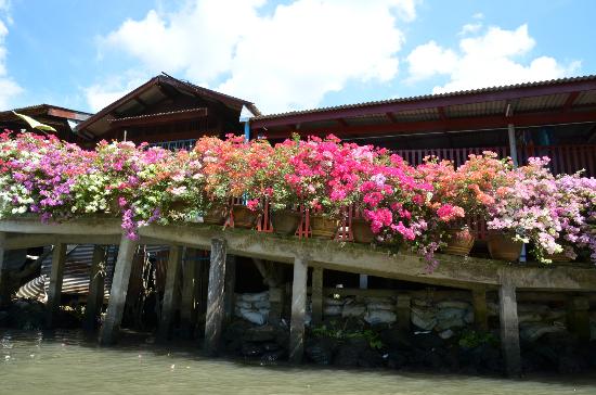 トリップアドバイザー提供