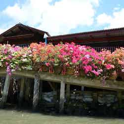 トリップアドバイザー提供