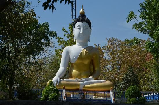 トリップアドバイザー提供