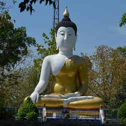 トリップアドバイザー提供