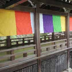 トリップアドバイザー提供