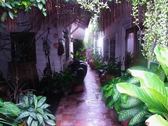 トリップアドバイザー提供