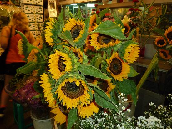 トリップアドバイザー提供