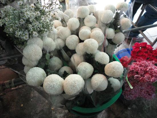 トリップアドバイザー提供