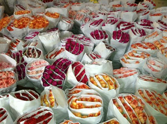 トリップアドバイザー提供