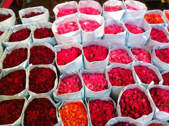 トリップアドバイザー提供