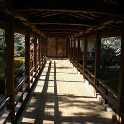 トリップアドバイザー提供