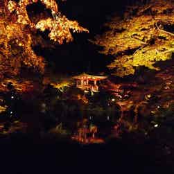 トリップアドバイザー提供