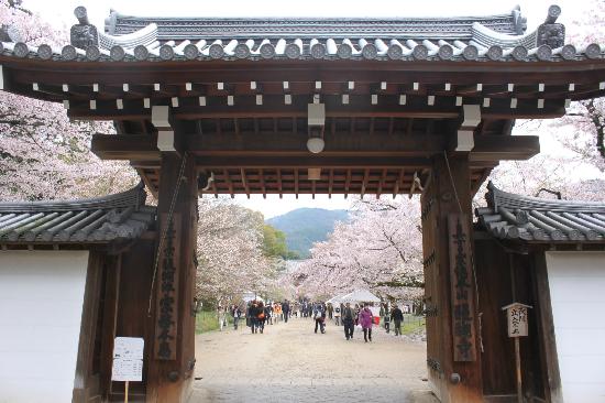 トリップアドバイザー提供