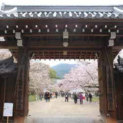 トリップアドバイザー提供