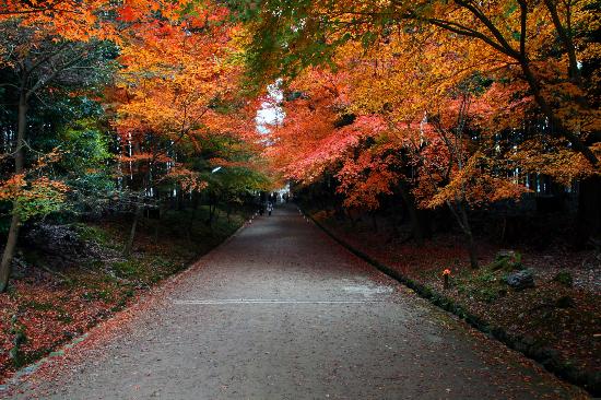 トリップアドバイザー提供
