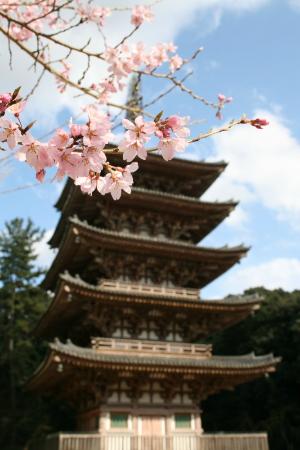 トリップアドバイザー提供