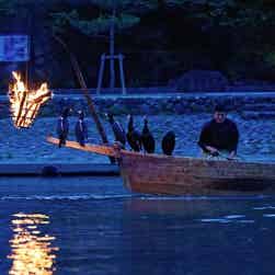 トリップアドバイザー提供