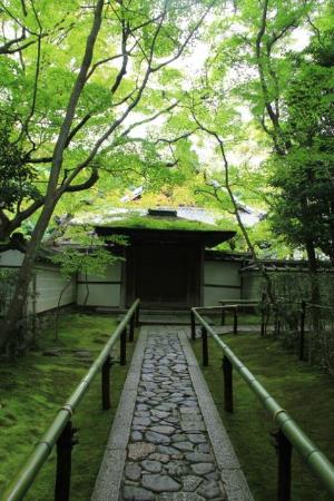 トリップアドバイザー提供