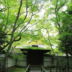 トリップアドバイザー提供