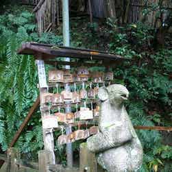 トリップアドバイザー提供