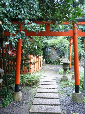 トリップアドバイザー提供