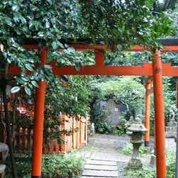 トリップアドバイザー提供