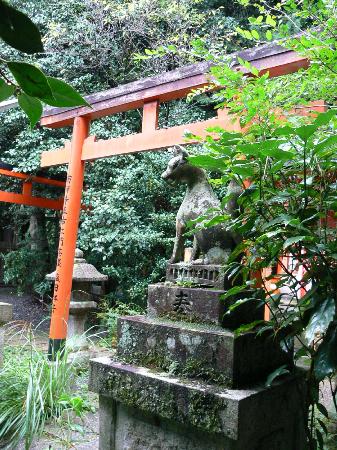 トリップアドバイザー提供